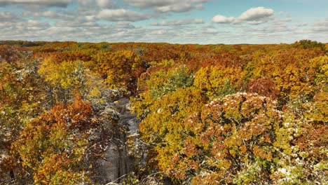 a view of changed leaves among trees after a shocking fall snow blizzard