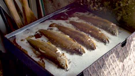 truchas fritas en una plancha casera llena de aceite para un picnic familiar