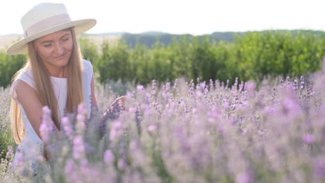 Girl Sitting in a Lavender Flower Field a Beautiful Young Girl Sits among Lavender Bushes a Field of Blooming Lavender and a Lady in a Hat