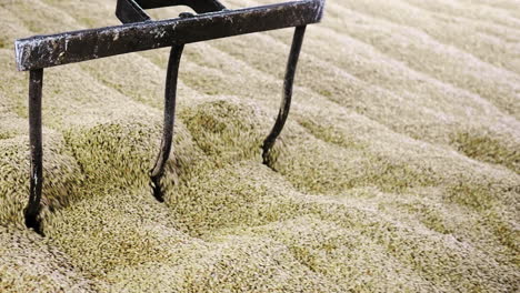 malt shovel or fork used for manually turning and aerating the germinating malt during the malting process