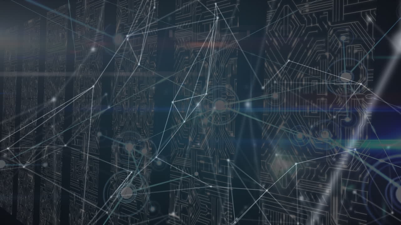 Animation of network of connections and diverse data over integrated circuits in servers