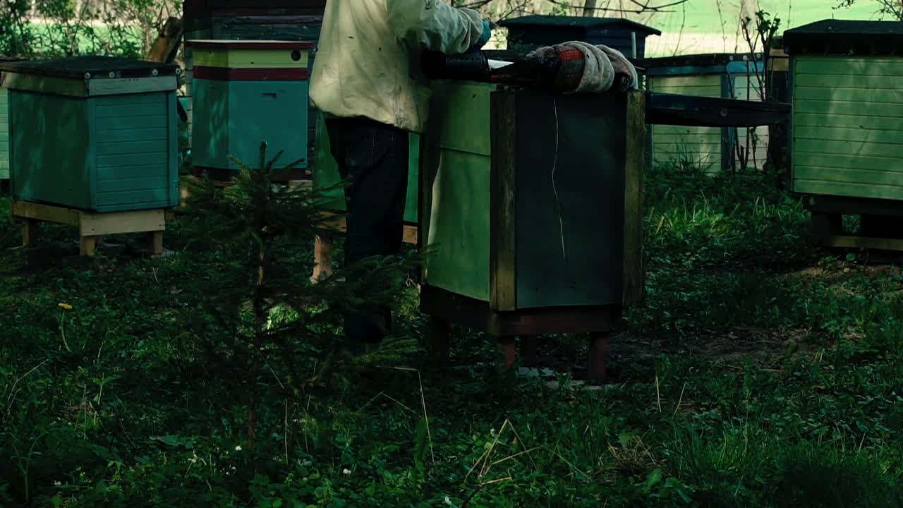 Beekeeper Checking On Beehive Box Whilst Holding Bee Smoker. Tilt Up. Slow Motion