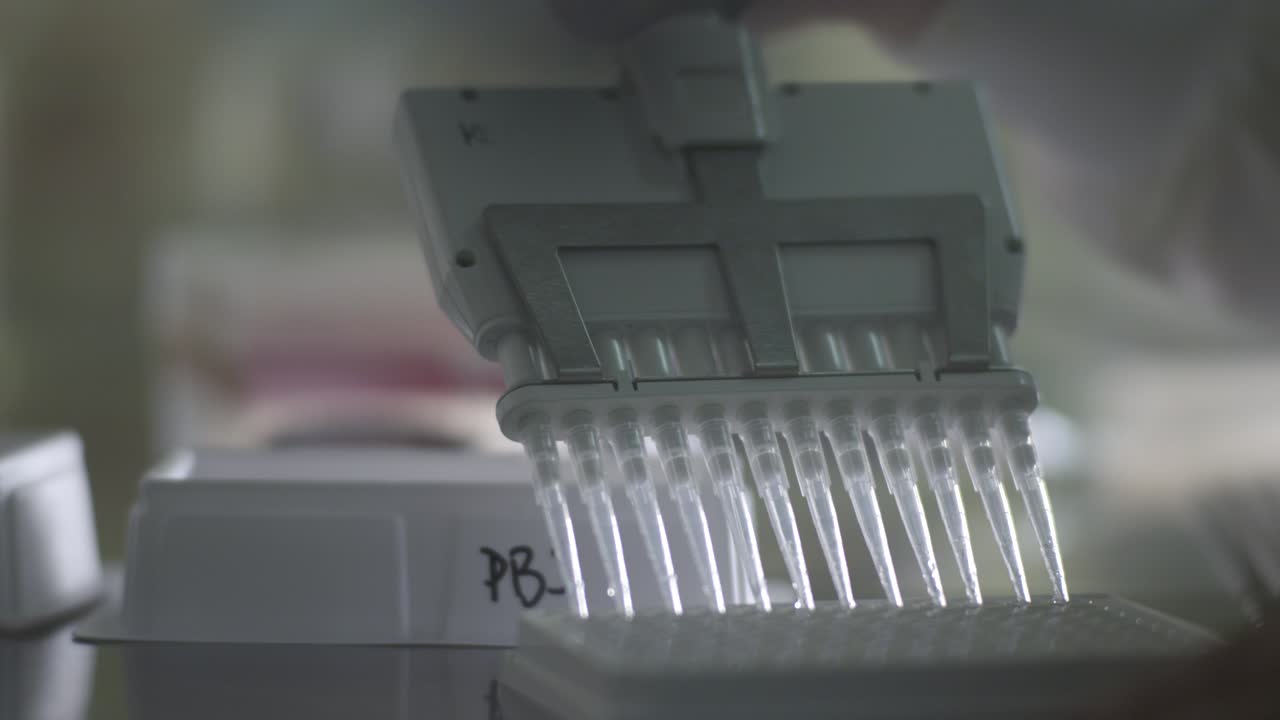 пипетирование солевого буферного раствора pbs в лаборатории 01