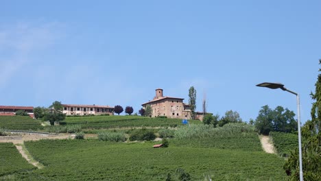 a bird flies over a rural landscape