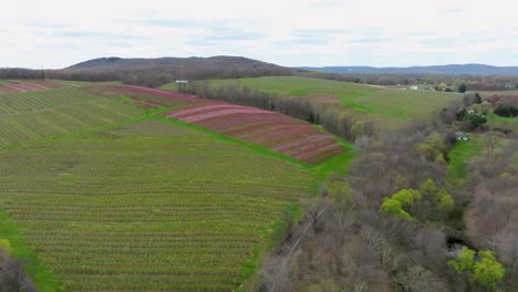 Una-Granja-En-Connecticut-Durante-La-Primavera-Con-Los-Colores-Empezando-A-Cambiar.