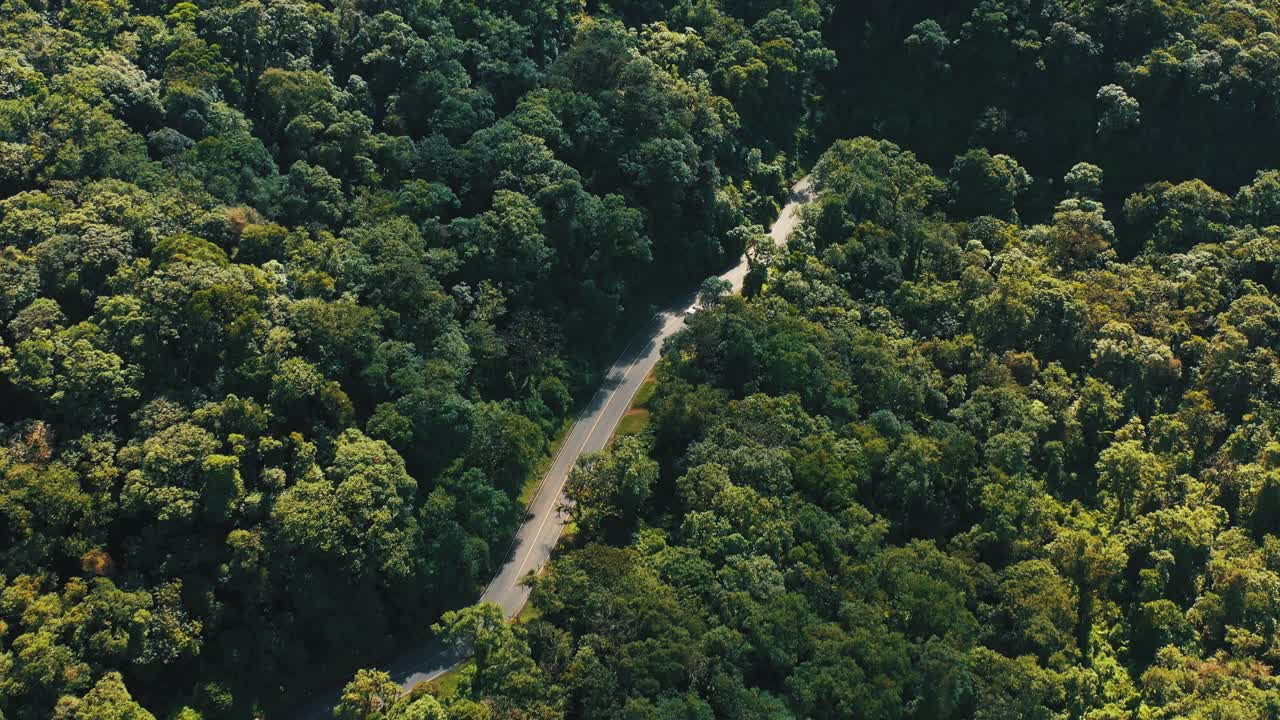 vista aérea de la conducción de automóviles a través del bosque en la carretera rural