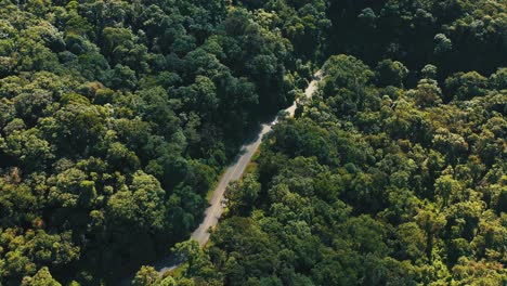 aerial view of car driving through the forest on country road