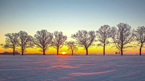 tree line silhouette and bright sunrise in background, time lapse view