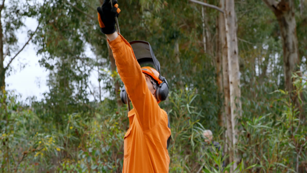 leñador trabajando en el bosque 4k