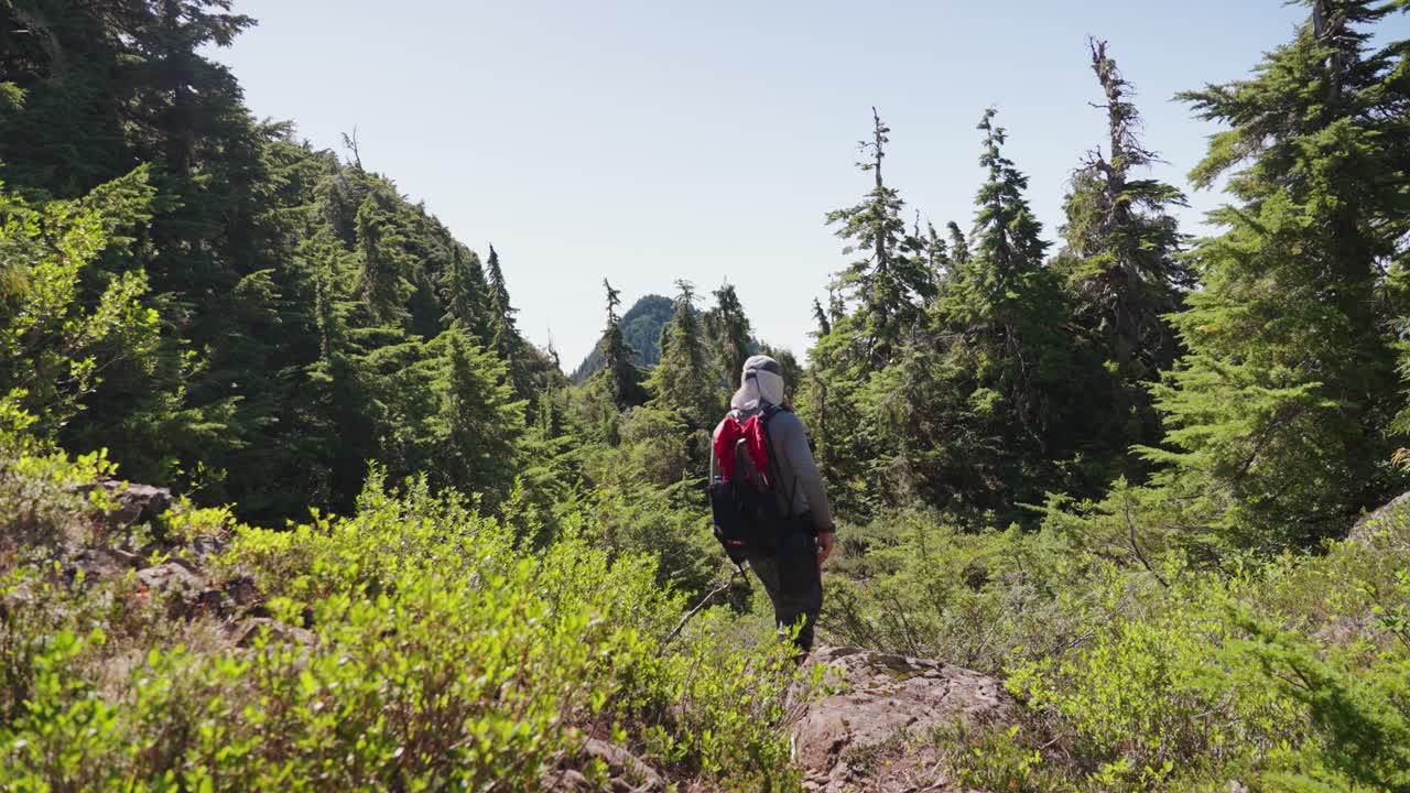 고산 숲 - mackenzie range, vancouver island, bc, canada의 카메라에서 멀리 걸어가는 등산객