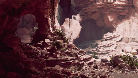 trail in a hawaiian rain forest leading to big cave