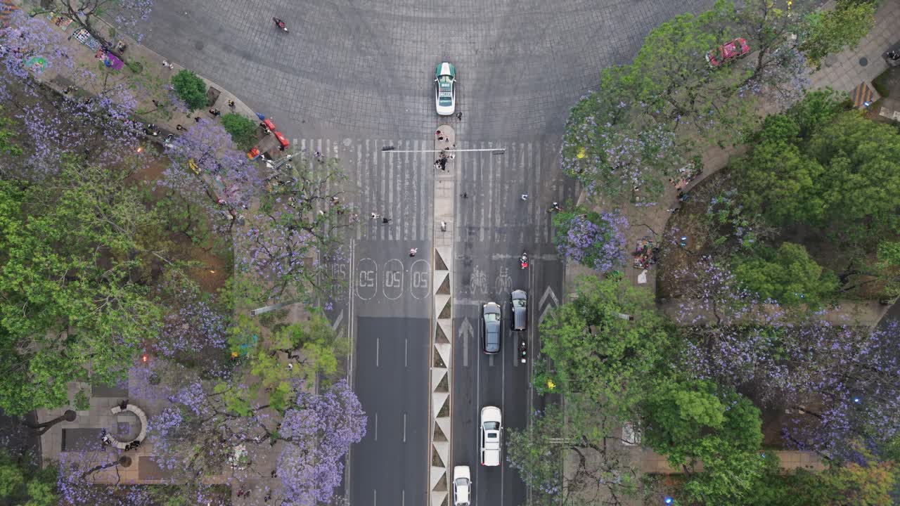 Bird's-eye view of a pedestrian walkway on Reforma Avenue, CDMX