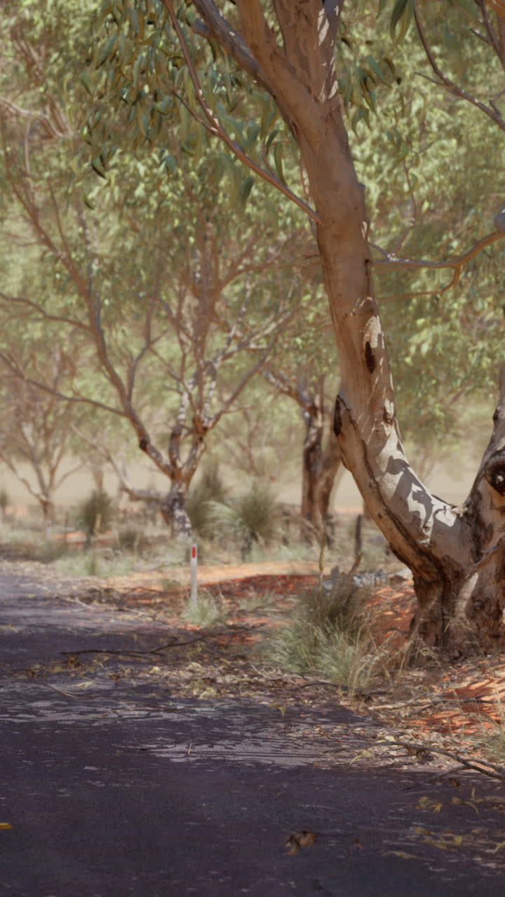 Empty Road Through Australian Outback