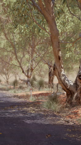 empty road through australian outback