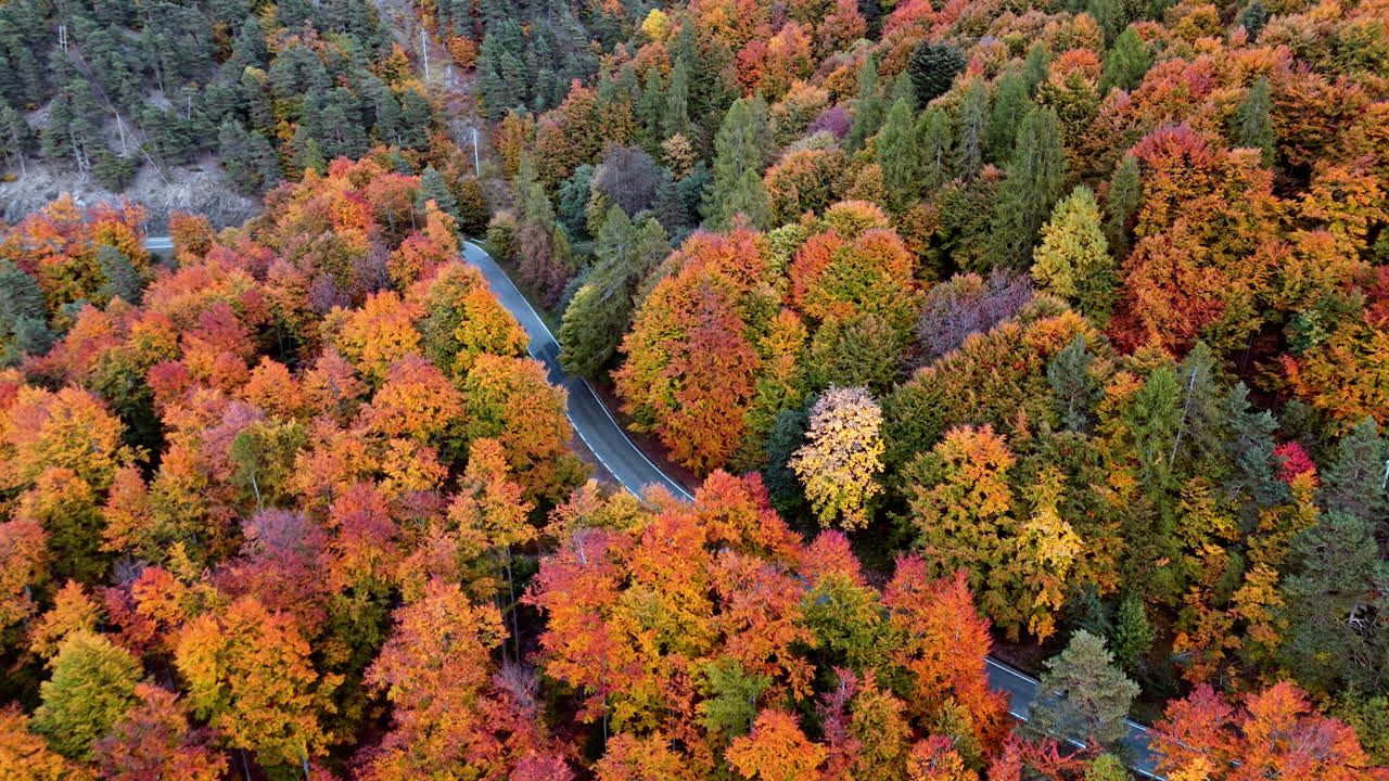 Scenic aerial view of vibrant autumn forest with winding road
