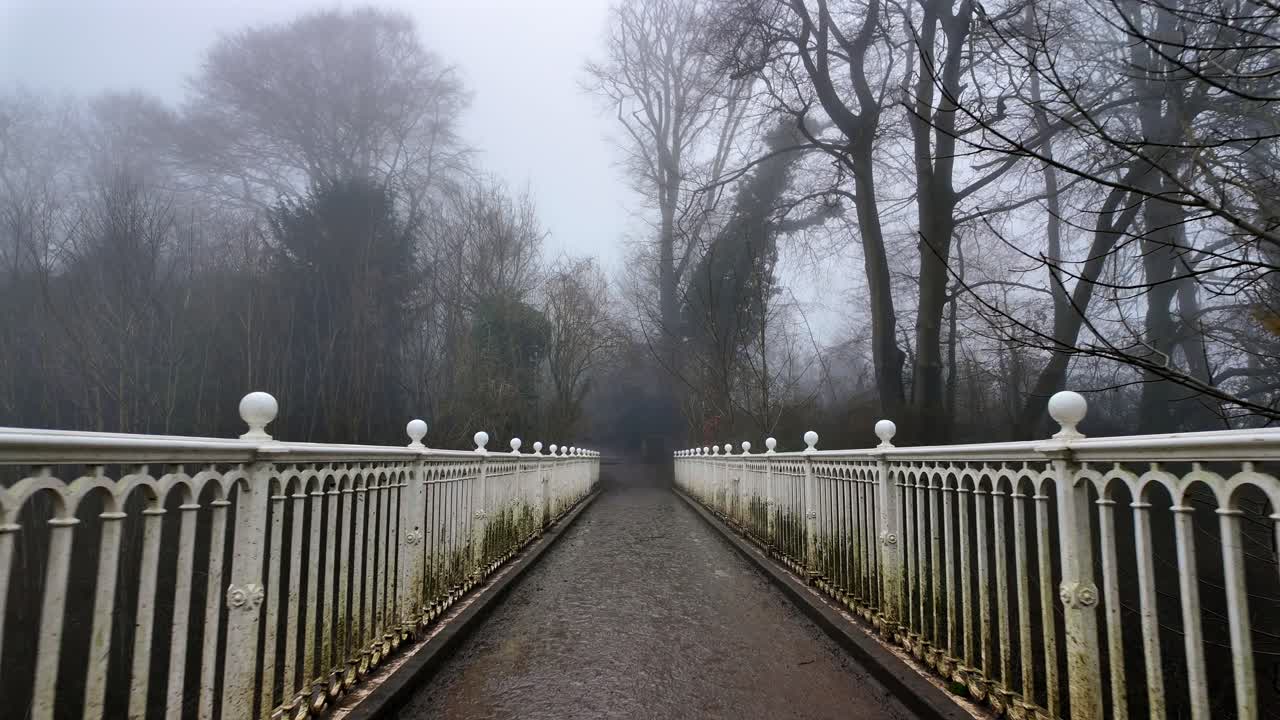 Walking on a muddy bridge with white rails leading into a misty forest.