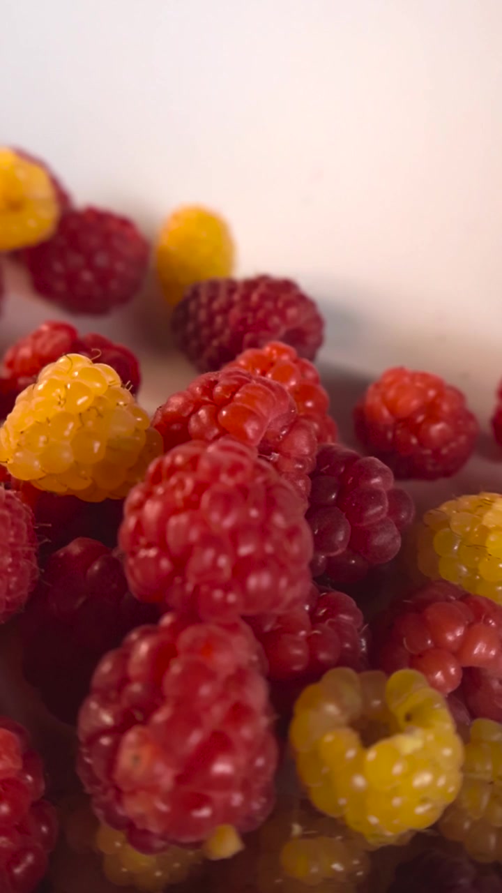 Vista macro di lamponi rossi e gialli appena raccolti che ruotano su un piatto bianco, mettendo in mostra i loro colori vivaci e la loro consistenza. Frutta sana e biologica perfetta per una dieta equilibrata.