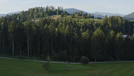 Toma-Aérea-De-Drones-De-Un-Amplio-Bosque-Y-Una-Colina-En-El-Fondo