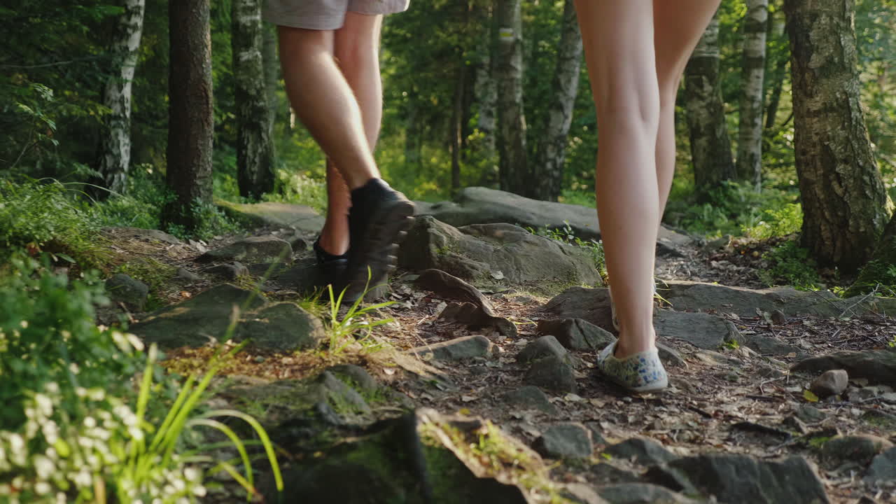 un par de turistas caminan por un sendero de montaña cubierto de raíces de grandes árboles adventu