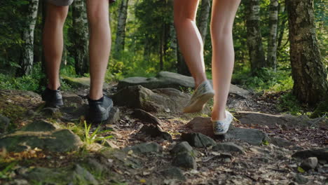 a couple of tourists are walking along a mountain path covered with the roots of large trees adventu