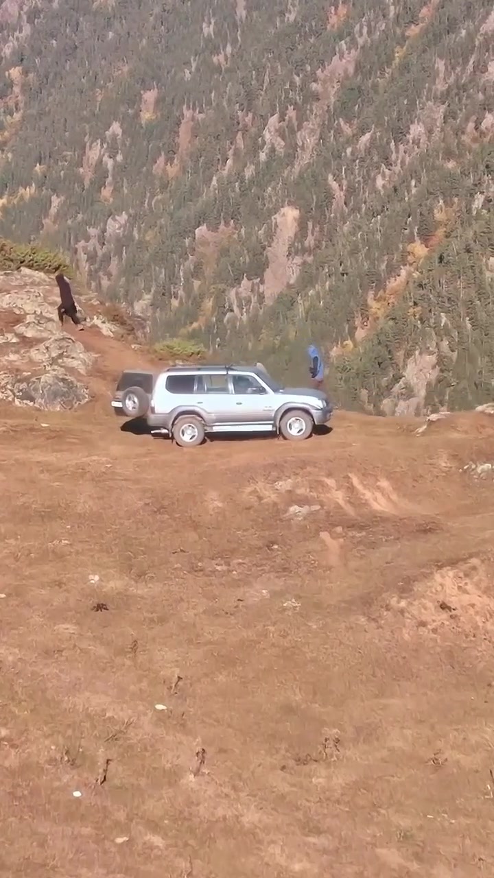 Pecore al pascolo lungo una strada rurale in Georgia, nella regione del Caucaso.
