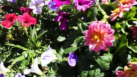 flores vibrantes que florecen en un jardín exuberante