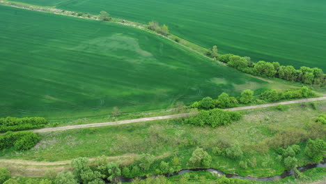 agriculture land drone view in summer