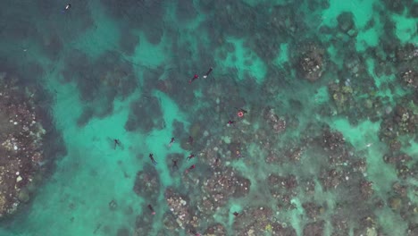 Great-Barrier-Reef,-Australien