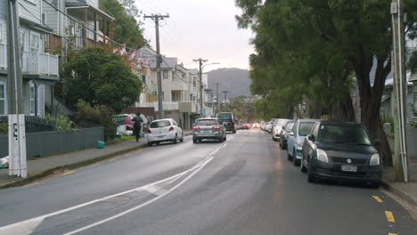 residential street scene in new zealand suburb