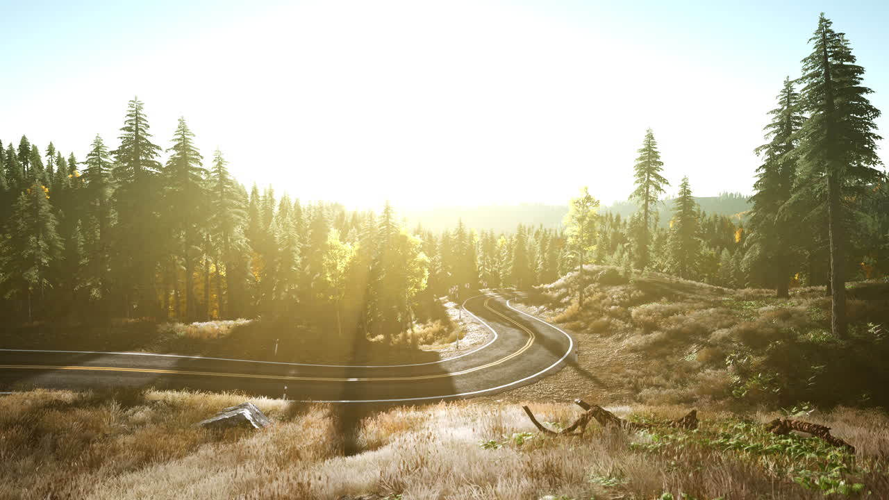 un camino sinuoso a través de un bosque en las montañas