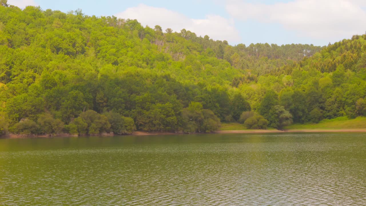 Tranquil green lake with lush trees on a sunny day, peaceful nature scene