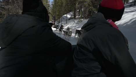 Couple-watching-and-recording-parents-on-a-dog-sled-tour-in-Breckenridge-Colorado