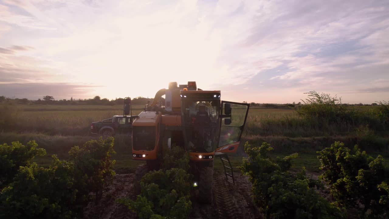 antena: camión agrícola especial utilizado para sacar uvas de los campos en el sur de francia