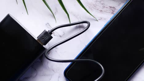 phone charging with power bank