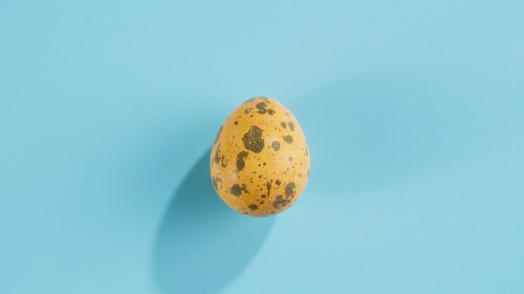 Quail egg isolated on blue background top view. Healthy eating, dieting.