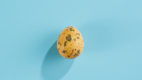 quail egg isolated on blue background top view. healthy eating, dieting.