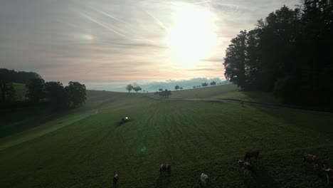 Vuelo-De-Drones-Sobre-Un-Campo-En-Suiza-En