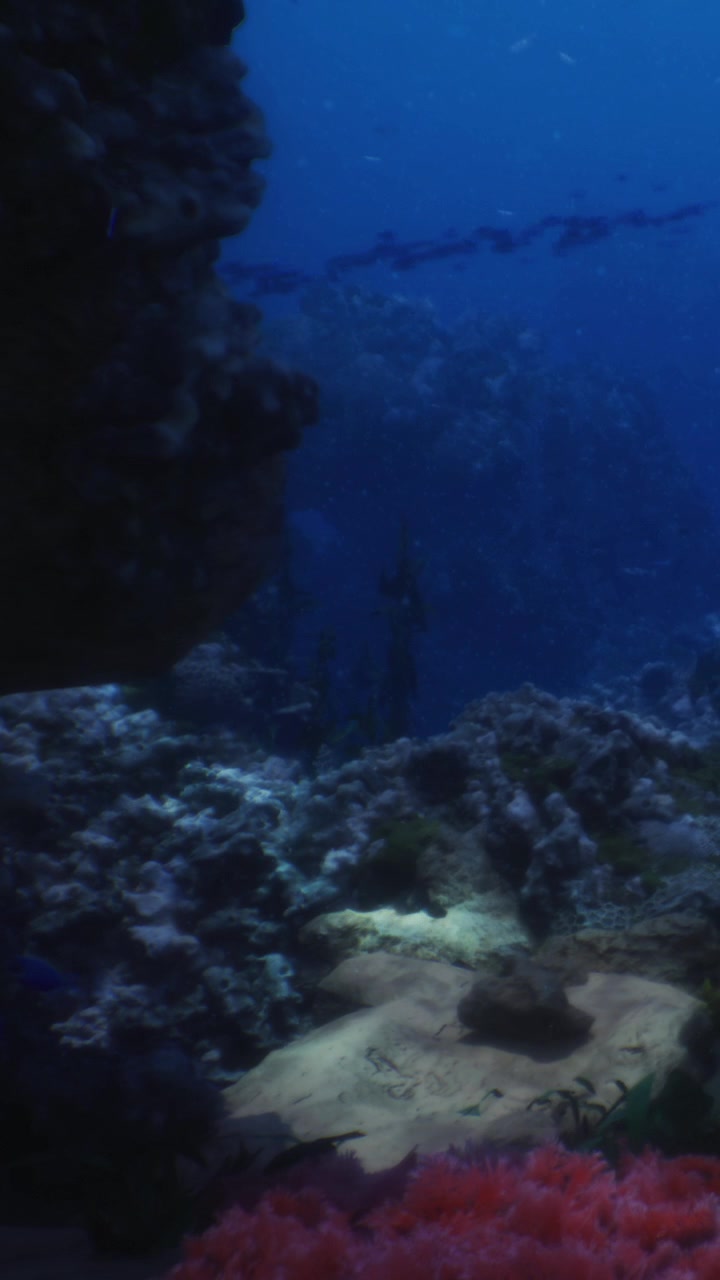 Underwater scene showing sea life and rock formations in a deep ocean