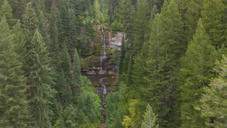 waterfall in the middle of a green pine forest