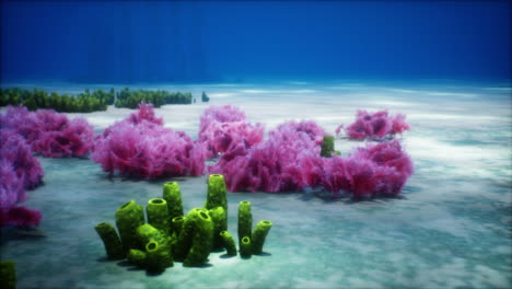 Purple-and-pink-soft-corals-and-red-sponges