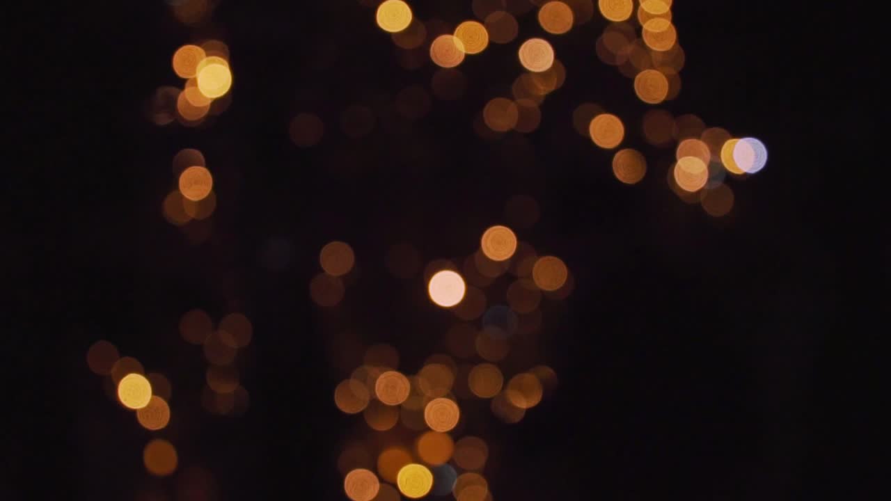 luces de navidad en un árbol bokeh