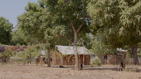 La-Vida-Cotidiana-De-La-Pobreza-Y-La-Sequía-En-La-Aldea-Rural-De-Kenia-Con-Choza-De-Barro