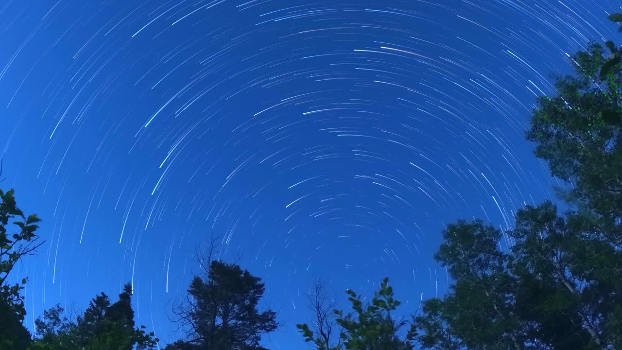 앞면 에 숲 의 실루 ⁇  이 있는 북쪽 별 인 폴라리스 를 둘러싸고 있는 황혼 부터 새벽 까지의 별 경로 - 시간  ⁇ 페스 를 확대 하여 드러낸다
