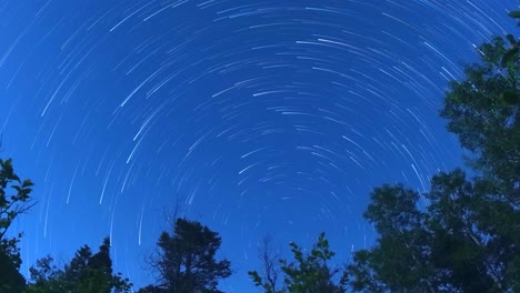 Dusk-to-dawn-star-trails-around-the-Polaris,-the-north-star-with-the-forest-silhouette-in-the-foreground---zoom-out-time-lapse-reveal