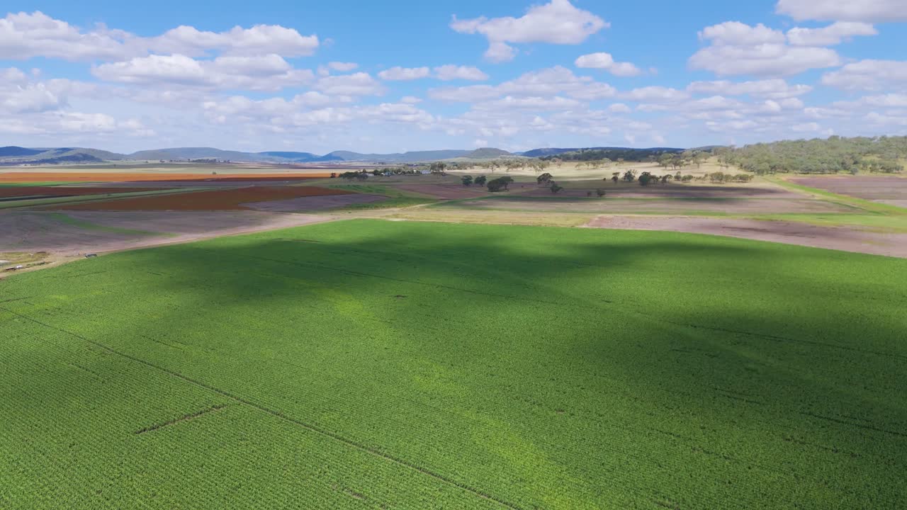 Lush fields and distant hills under blue skies
