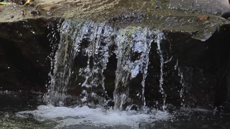 water cascading over rocks in rainforest creek