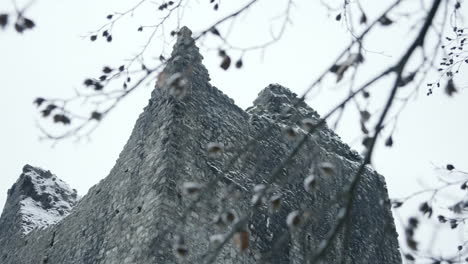 castle in white winter fog with branche in foreground