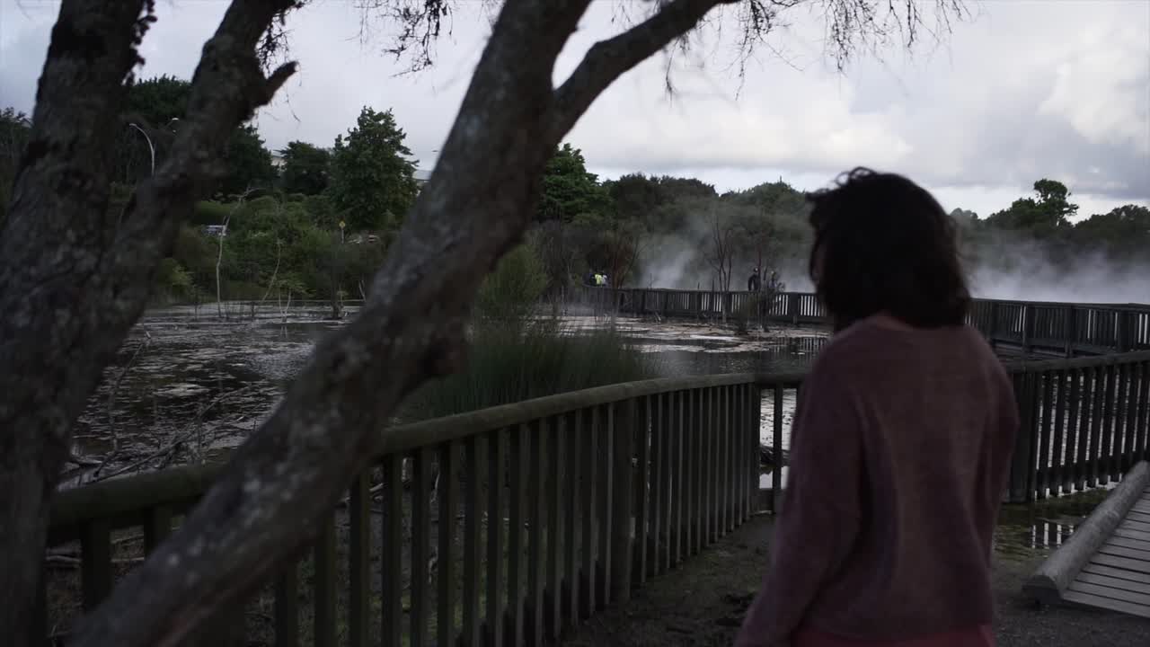 Scenic Lake View with Bridge and Fog