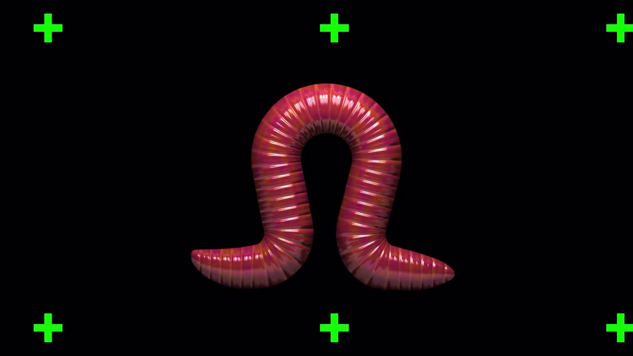 Worm on transparent background, looping 3D animation