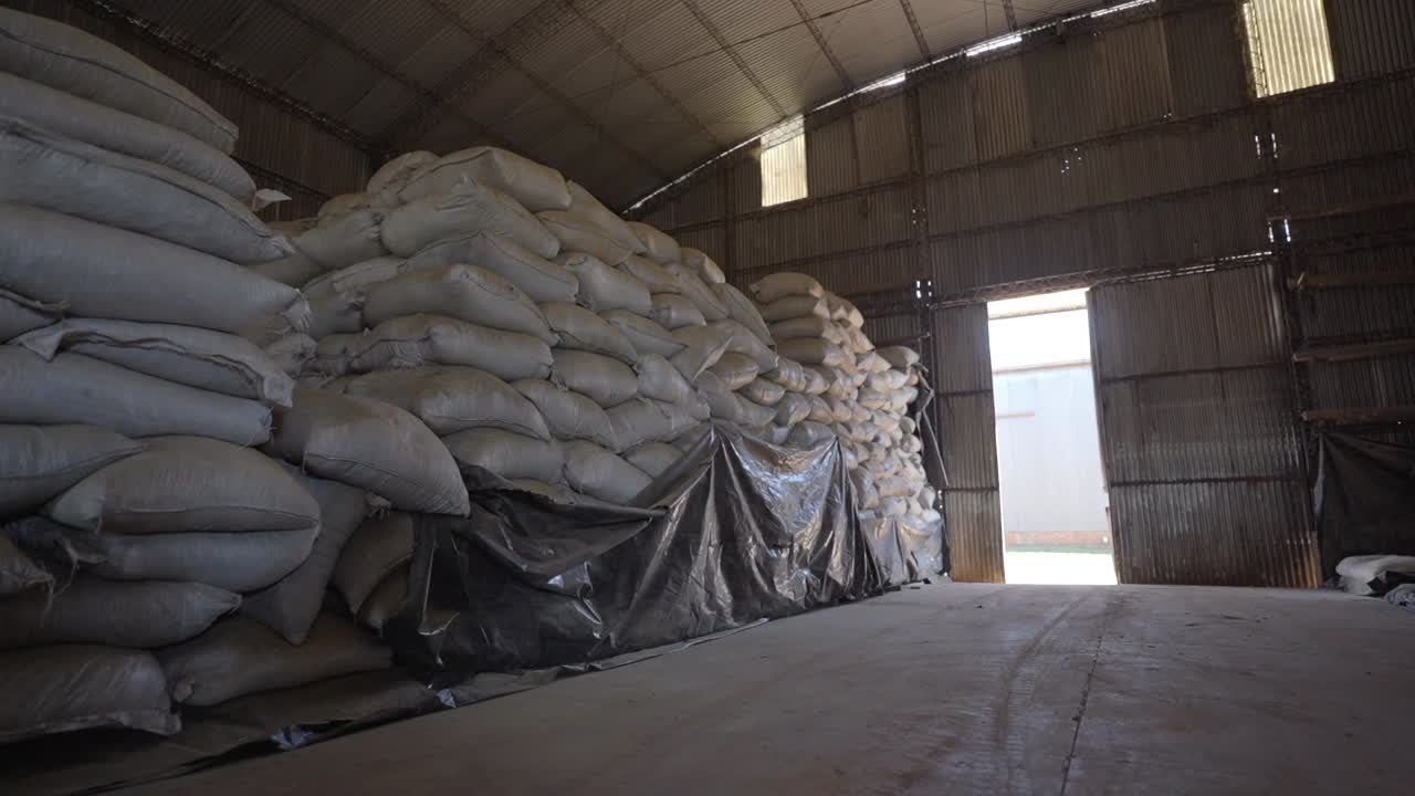 Yerba mate leaves packed in white bags, stacked neatly during the aging process.